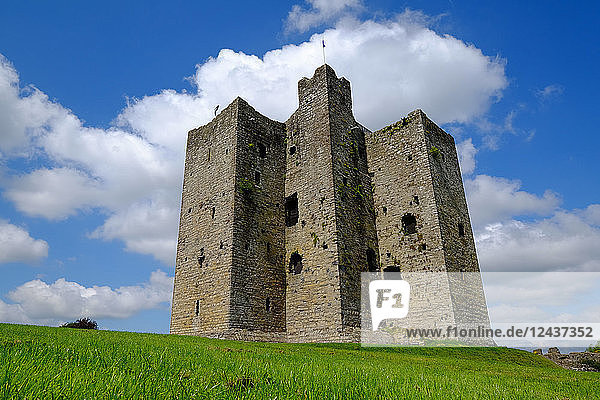 Trim Castle  normannische Burg am Südufer des Flusses Boyne in Trim  Grafschaft Meath  Leinster  Republik Irland  Europa