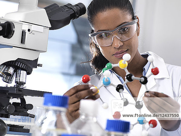 Biotechnology Research  female scientist examining a chemical formula using a ball and stick molecular model in the laboratory