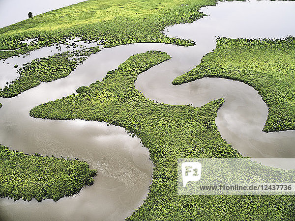 USA, Virginia, Marshes of the Chickahominy River