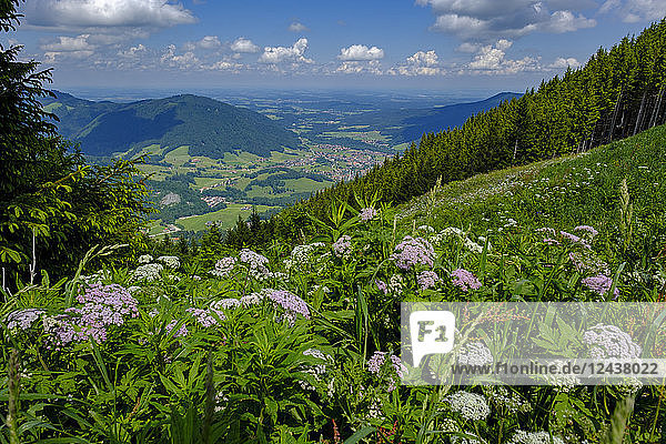 Germany  Bavaria  Upper Bavaria  Chiemgau  Unternberg  View to Ruhpolding
