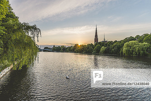Germany,  Hamburg,  Kuhmuehlenteich,  mute swan and view to church St. Gertrud
