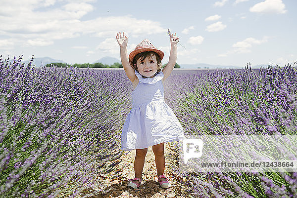 France  Provence  Valensole plateau  Happy toddler girl standing in purple lavender fields in the summer