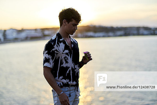 Greece  Crete  Hersonissos  young man holding flower blossom in hand at seaside during sunset
