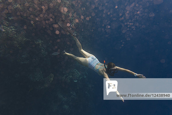 Indonesia  Bali  young woman snorkeling