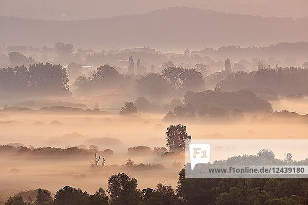 Germany  Baden-Wuerttemberg  Constance district  view to Radolfzeller Aach in the morning with fog