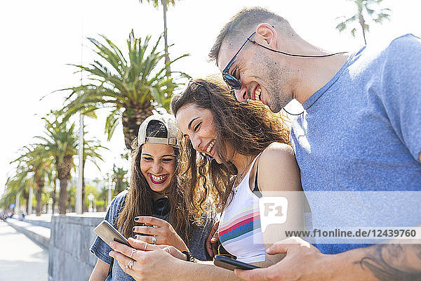Happy friends sharing cell phone on a promenade with palms