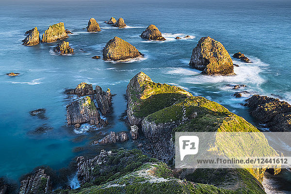 New Zealand South Island Southern Scenic Route Catlins sunset at Nugget Point