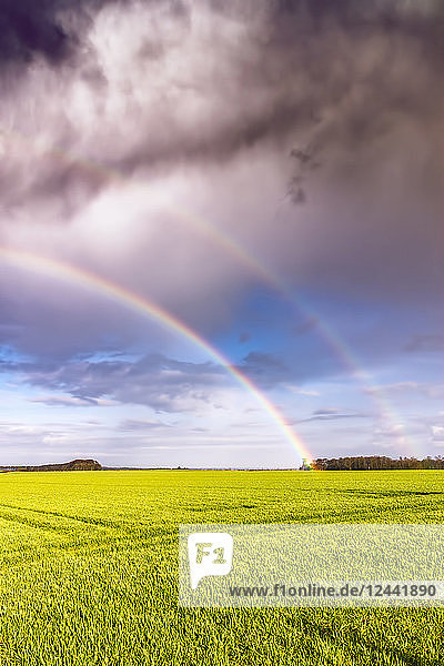 UK  Scotland  North Berwick  rainbow over a field