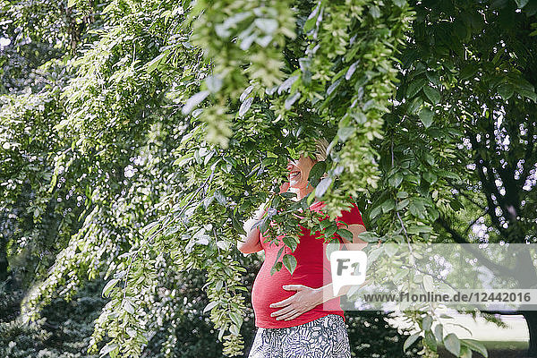 Smiling pregnant woman standing behind branches of a tree