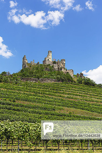 Austria  Lower Austria  Wachau  Kremstal  Senftenberg  Castle ruin Senftenberg