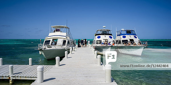 Tour boats moored along a dock in the Caribbean; Belize