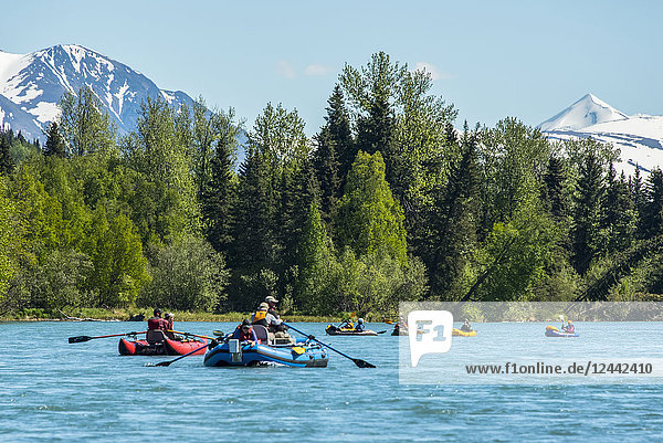 Rafting on the Kenai River  South-central Alaska; Alaska  United States of America