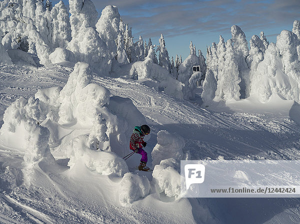Ein junges Mädchen fährt auf einer Skipiste in einem Skigebiet durch die Schneegeister; Kamloops  British Columbia  Kanada