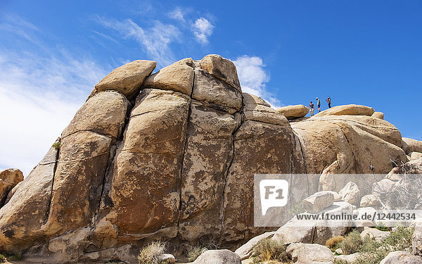 Touristen klettern auf großen Felsblöcken im Joshua Tree National Park; Kalifornien  Vereinigte Staaten von Amerika