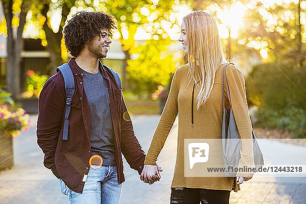 Freund und Freundin gehen  reden und halten sich an den Händen auf dem Universitätscampus bei Sonnenuntergang  Edmonton  Alberta  Kanada