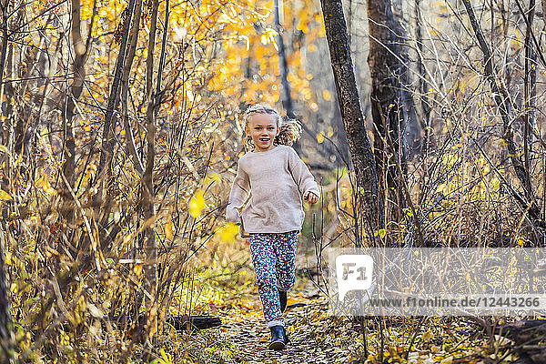 A young girl running through the woods in a city park on a warm fall evening; Edmonton  Alberta  Canada