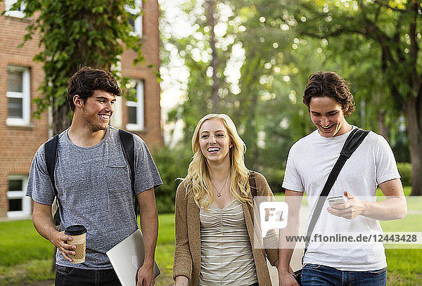 Drei Freunde,  die auf dem Universitätscampus spazieren gehen und sich unterhalten,  Edmonton,  Alberta,  Kanada