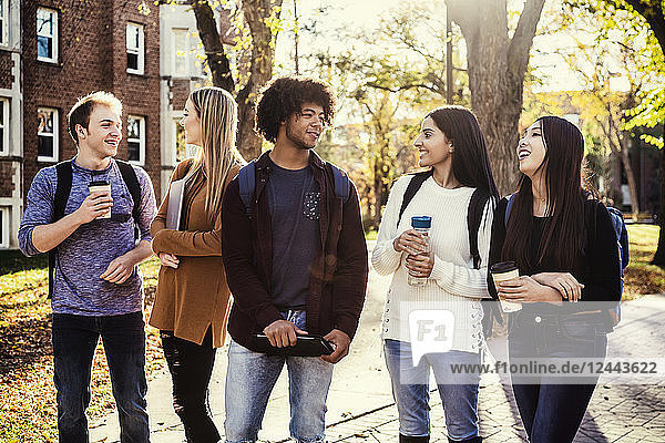 Eine ethnisch gemischte Gruppe von Universitätsstudenten geht im Herbst auf dem Campus in Edmonton  Alberta  Kanada  spazieren und spricht miteinander.