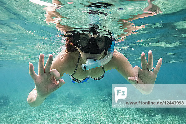 A woman snorkelling and making the 'okay' sign with her hands  Belize Barrier Reef  Belize
