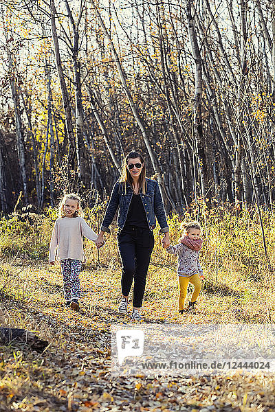 Eine Mutter und ihre beiden kleinen Töchter gehen an einem warmen Herbstabend durch den Wald und halten sich an den Händen in einem Stadtpark; Edmonton  Alberta  Kanada