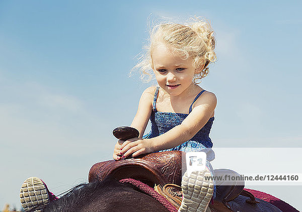 Ein junges Mädchen mit lockigem blondem Haar sitzt im Sattel eines Pferdes  Edmonton  Alberta  Kanada