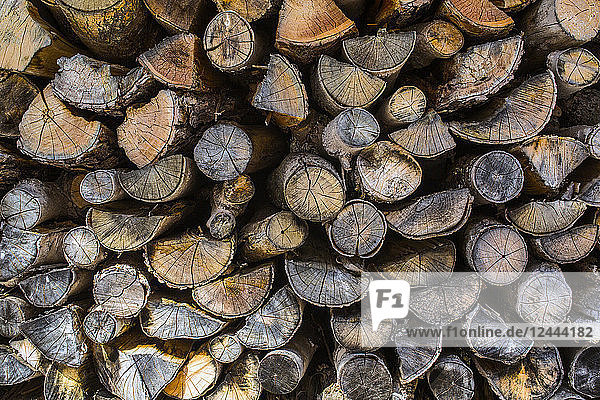 Enden von geschnittenem Holz auf einem Stapel  Potton  Quebec  Kanada