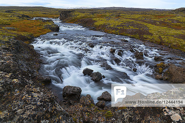 Autumn colours in the landscape with a river running through it  Djupavik  West Fjords  Iceland