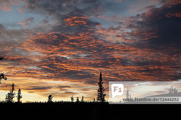 Brilliant Orange Sonnenuntergang in Alaska Range  Interior Alaska  Herbst