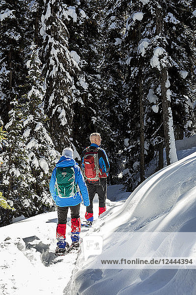 Schneeschuhwanderer und Schneeschuhwanderin auf einem schneebedeckten Weg mit schneebedeckten immergrünen Bäumen im Hintergrund  Banff National Park; Lake Louise  Alberta  Kanada