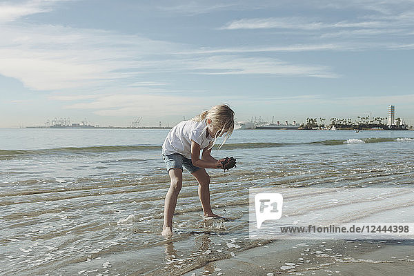 A young girl plays in the wet sand along the shoreline; Long Beach  California  United States of America