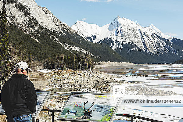 Männlicher Tourist liest Schilder über Wildtiere und Landschaft im Jasper National Park; Alberta  Kanada