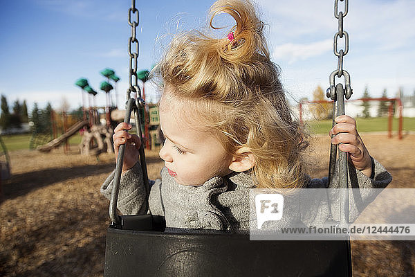 Ein süßes junges Mädchen schaut weg  während es auf einem Spielplatz während der Herbstsaison schaukelt  Spruce Grove  Alberta  Kanada