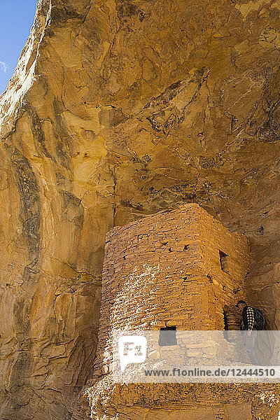Tower ruins  Ancestral Pueblo  up to 1 000 years old  Bears Ears National Monument  Utah  United States of America