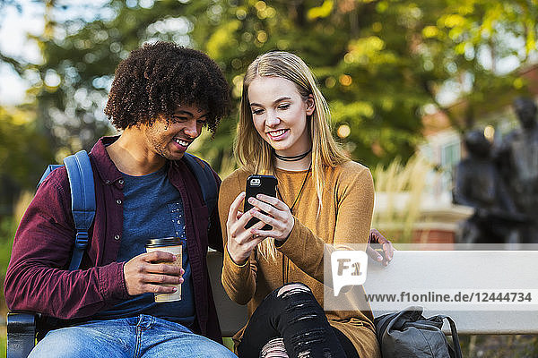 Young dating couple who are university students sitting on a bench on campus and looking at social media on a smart phone  Edmonton  Alberta  Canada
