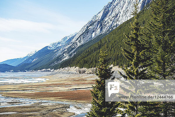 Zerklüftete Berge und Wälder der kanadischen Rocky Mountains im Jasper National Park; Alberta  Kanada