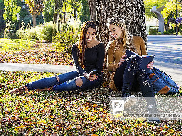 Zwei Studentinnen sitzen unter einem Baum und unterhalten sich  lesen und schauen gemeinsam auf ein Smartphone  Edmonton  Alberta  Kanada