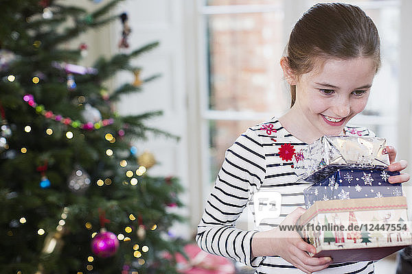 Lächelndes  eifriges Mädchen  das im Wohnzimmer Weihnachtsgeschenke sammelt