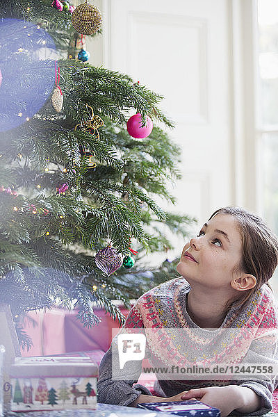 Neugieriges Mädchen mit Geschenk schaut zum Weihnachtsbaum hinauf