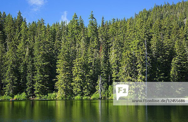 Hideaway Lake  Mt Hood National Forest  Oregon.