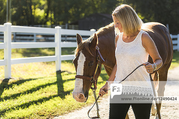 Frau mit ihrem Pferd auf dem Feld