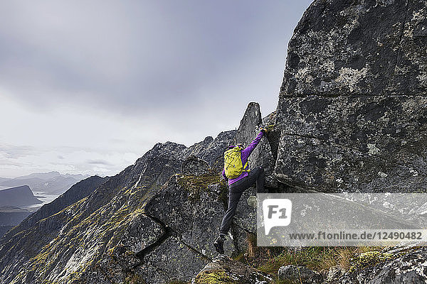 Wanderin klettert über steilen Felsgrat zum Gipfel des ?østhimmeltind  Vestv?Çg¬Øy  Lofoten  Norwegen