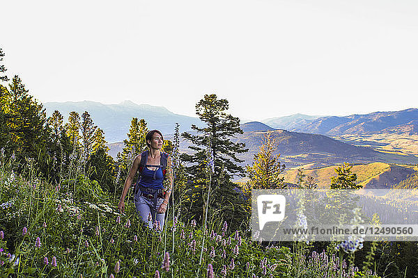 Frau wandert durch ein Wildblumenfeld im Gallatin National Forest in Montana