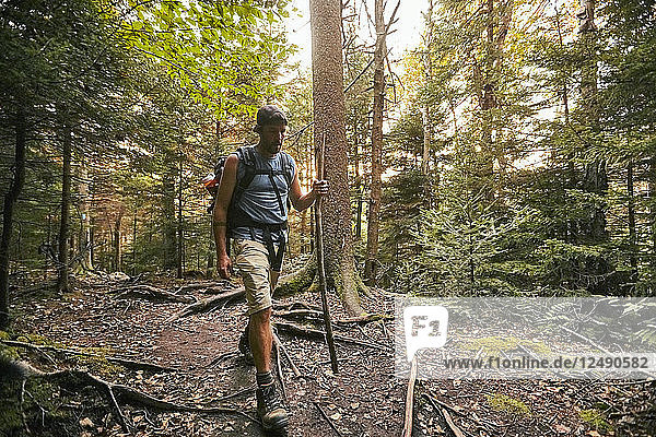 A man hikes along the Appalachian Trail