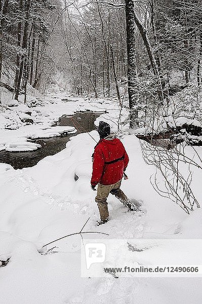 Ein Mann beim Fliegenfischen an einem verschneiten  kalten Wintertag. Er sucht in einem kleinen Bach eine freie Stelle zum Fischen.