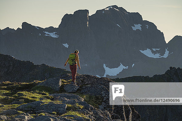 Wanderin auf dem Gipfel des Veinestind  Moskenes??y  Lofoten-Inseln  Norwegen