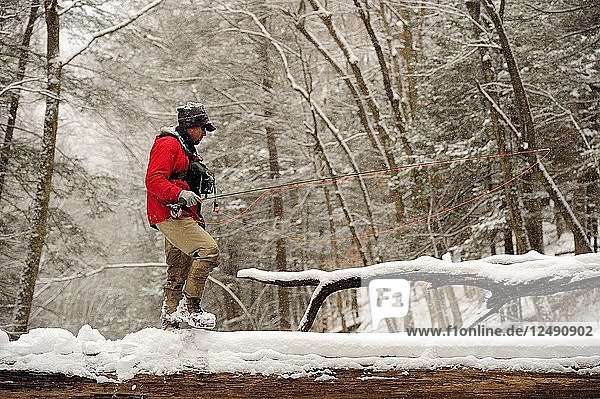 A man fly fishing on a snowy  cold  winter day. He crosses a snowy log in search of a good place to fish.
