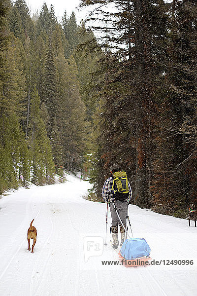 Ein Mann fährt mit seinem Hund  der einen Schlitten zieht  in der Frank Church River of No Return Wilderness bergauf.