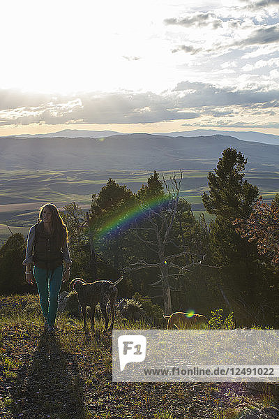 Eine Frau wandert mit ihren beiden Hunden auf einem Bergrücken in Montana.