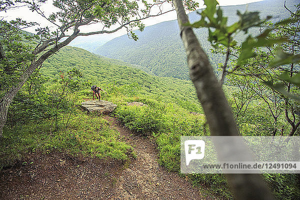 Person Wandern in den Catskill Mountains  New York State  Usa