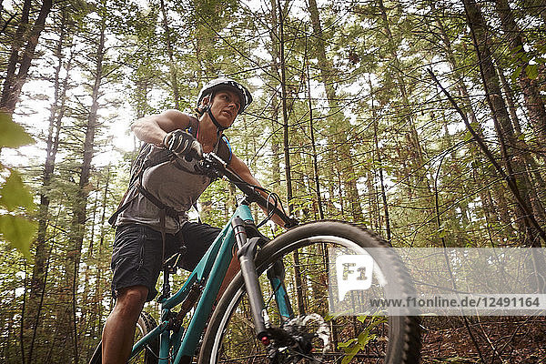 Woman On Mountain Bike In Forest
